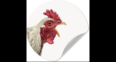 Behangsticker kind - Muurdecoratie meisjeskamer - Haan - Dieren - Boerderijdieren - Jongens - Kinderen - Meiden - 30x30 cm - Wanddecoratie - Slaapkamer decoratie