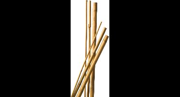 Bamboestokken / tonkinstokken - 21x - 90 cm - diameter 8-10 mm - plantensteunen / plantstokken