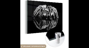 MuchoWow® Glasschilderij 60x40 cm - Schilderij acrylglas - Studio shot van een tarantula - zwart wit - Foto op glas - Schilderijen
