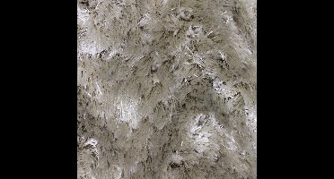 Vloerkleed Four Seasons Ivory | 170 x 230 cm