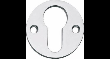 Intersteel Rozet profielcilindergat plat chroom