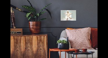 PosterMonkey - Poster - IJsbeer - Rok - Portret - Wit - Poster in lijst - Frame - 30x20 cm - Poster met kader