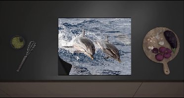 Inductieplaat Beschermer - Duo van Gelukkige Dolfijnen op Zee - 60x52 cm - 2 mm Dik - Inductie Beschermer met zwarte kern
