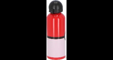 Pokemon aluminium fles