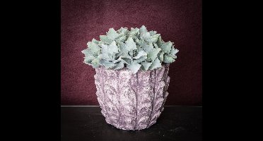 PTMD Succulent Kalanchoe Pluk Kunstplant - 13 x 14 x 20 cm - Groen