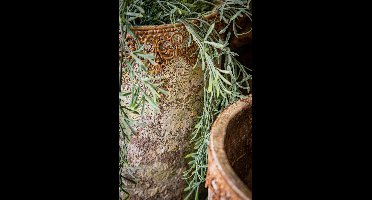 PTMD Callie Ronde Bloempot - H26 x Ø18,5 cm - Cement - Wit