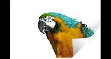 Muurstickers - Sticker Folie - Papegaai - Vogel - Veren - Portret - 30x20 cm - Plakfolie - Muurstickers Kinderkamer - Zelfklevend Behang - Zelfklevend behangpapier - Stickerfolie