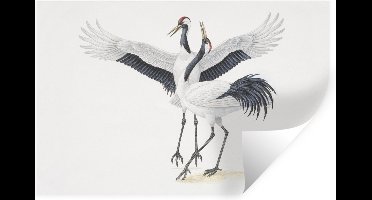 Muurstickers - Sticker Folie - Illustratie van twee Chinese kraanvogels - 30x20 cm - Plakfolie - Muurstickers Kinderkamer - Zelfklevend Behang - Zelfklevend behangpapier - Stickerfolie