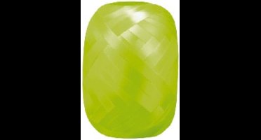 Wefiesta - Cadeaulint - 20 M x 5 MM - Lichtgroen
