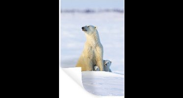 Muurstickers - Sticker Folie - IJsbeer - Sneeuw - Welpen - 20x30 cm - Plakfolie - Muurstickers Kinderkamer - Zelfklevend Behang - Zelfklevend behangpapier - Stickerfolie