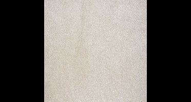 Vloerkleed Xilento Soft Linnen | 200 x 300 cm