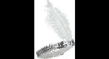 Vegaoo - Zilverkleurige Charleston hoofdband met lovertjes en veer