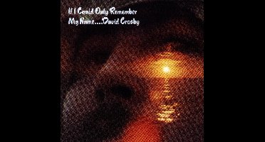 If I Could Only Remember My Name