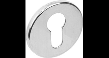 Intersteel Rozet rond plat verdekt met profielcilindergat rvs gepolijst