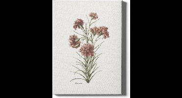 Walljar - Dianthus - Muurdecoratie - Poster