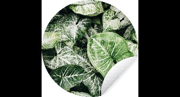 WallCircle - Muurstickers - Behangcirkel - Bladeren - Planten - Natuur - ⌀ 30 cm - Muurcirkel - Zelfklevend - Ronde Behangsticker