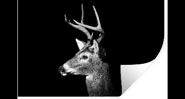 Muurstickers - Sticker Folie - Witstaarthert op zwarte achtergrond in zwart-wit - 30x20 cm - Plakfolie - Muurstickers Kinderkamer - Zelfklevend Behang - Zelfklevend behangpapier - Stickerfolie