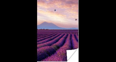 Poster Lavendel - Luchtballon - Berg - Paars - 20x30 cm