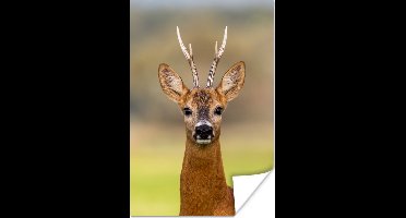 Poster Hert - Gewei - Hertenkop - 20x30 cm