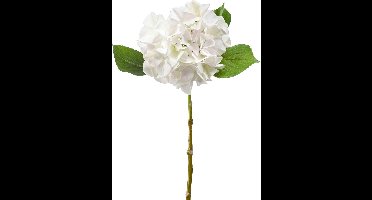 Emerald Kunstbloem hortensia tak - Challenge - 47 cm - wit - kunst zijdebloem - Hydrangea