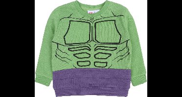 Groen en paars Hulk MARVEL AVENGERS sweatshirt