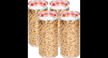 Plasticforte Weckpot/inmaakpot Classic - 4x - 550ml - kunststof - draaideksel - rood - D7 x H16 cm