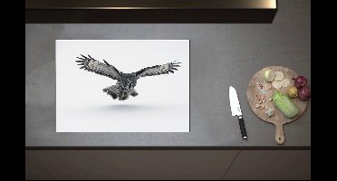 Inductieplaat Beschermer - Grijze Uil met Gespreide Vleugels op Witte Achtergrond - 70x52 cm - 2 mm Dik - Inductie Beschermer van Vinyl