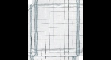 De Witte Lietaer Theedoek Glazendoek - 2 stuks - 68 x 68 cm - Katoen Linnen