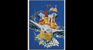 Harry Potter fleecedekens Hedwig 110 x 140 cm