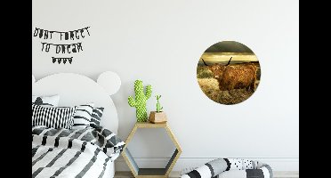 WallCircle - Muurstickers - Behangcirkel - Schotse hooglander - Licht - Natuur - ⌀ 30 cm - Muurcirkel - Zelfklevend - Ronde Behangsticker
