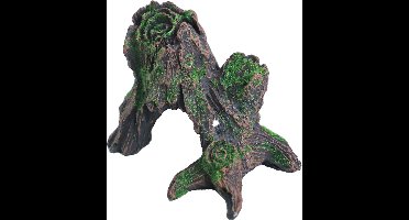 De Boon Boomstronk Met Doorgang