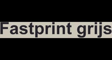 Kopieerpapier Fastprint Grijs A4 120gr