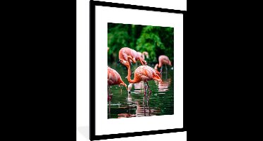 PosterMonkey - Poster - Fotolijst - Vogel - Water - Flamingo - Tropical - Dieren - 60x80 cm - Poster in lijst - Poster flamingo - Foto met lijst - Poster met kader