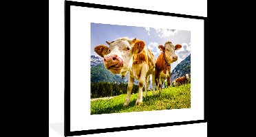 PosterMonkey - Poster - Fotolijst - Koeien - Gebergte - Alpen - Natuur - Dieren - 80x60 cm - Posters - Foto met lijst - Poster met kader - Poster koe - Posterlijst