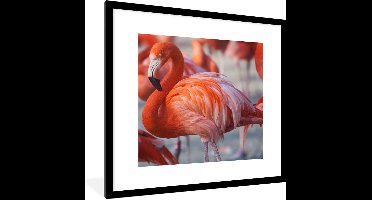 PosterMonkey - Poster - Flamingo - Vogel - Dieren - Roze - Fotolijst - 40x40 cm - Poster flamingo - Posterlijst - Frame poster - Poster dieren - Woonkamer