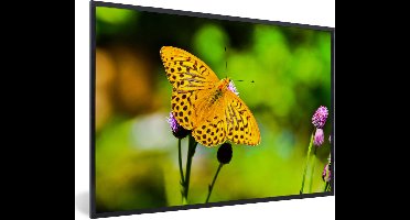 PosterMonkey - Poster - Fotolijst - Vlinders - Geel - Bloem - Dieren - Posterlijst - 30x20 cm - Kader - Poster natuur - Muurdecoratie- Wanddecoratie - Foto in lijst