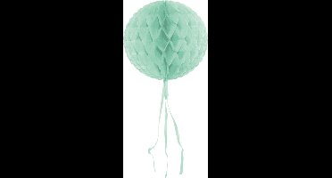 Folat - Honeycomb mint 30 cm