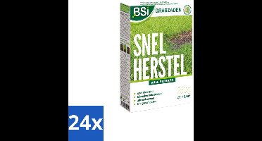 BSI – Graszaad – Snel Herstel – Dicht & Sterk Gazon – 250 g - Voordeelverpakking - 24 stuks