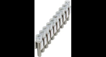 Phoenix FBI 10- 6 - 10 pc(s) - Silver