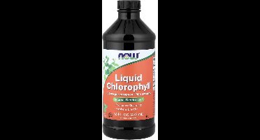 NOW Foods Vloeibare Chlorofyl Munt 473 ml – Liquid Chlorophyll 100 mg | Kruiden Supplement / Dietary Supplement