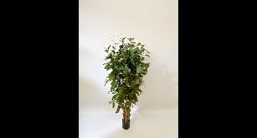 Oosterik home - Dracaena surculosa 150 cm kunstplant Oosterik Home