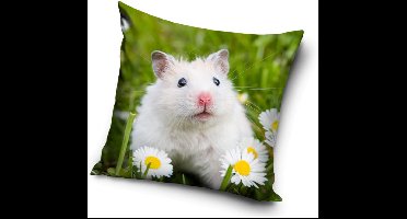 Sierkussenhoes - Hamster - 40 x 40 cm