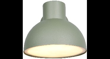 TRIO ELBE - Wandlamp - Groen - excl. 1x E27 4,9 W - Wandmontage - Buitenverlichting - IP44
