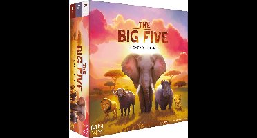 The Big Five Bordspel