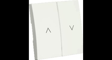 ION industries bedieningswip Jaloezieschakelaar - E1 alpin wit mat (20.302.215)