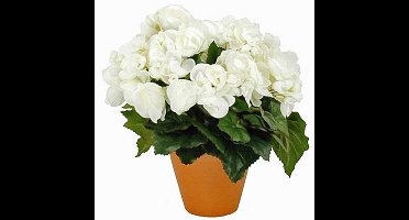 Kunstplant Begonia Wit - H 30cm - Terracotta sierpot - Mica Decorations