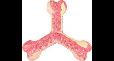 Hondenspeelgoed Saveo trippel been - Roze - 12.5 x 11 x 3 cm