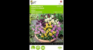 2 stuks - Buzzy - Viola cornuta Bambini Gemengd