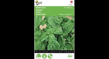 2 stuks Basilicum Grove (Ocimum basilicum)