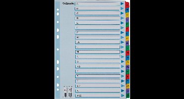 Esselte Index A4 - Tabs A-Z - Karton met Mylar Versterkt - 11-gaats - Meerkleurig